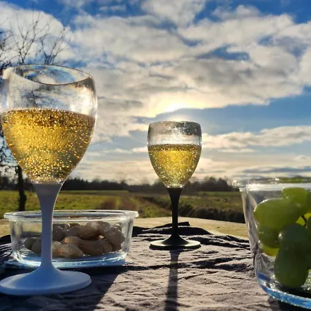 Fewo-plaggenburg Appartamento *