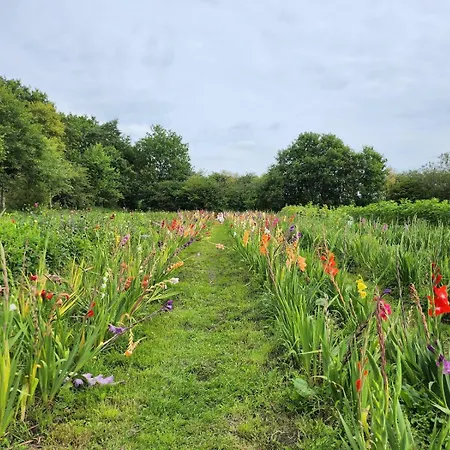 Fewo-plaggenburg Appartamento *